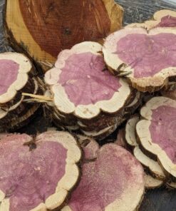 Lát Tuyết Tùng đỏ (1)